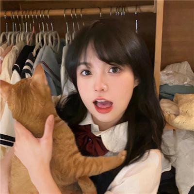 黑猫扎飞免费在线观看